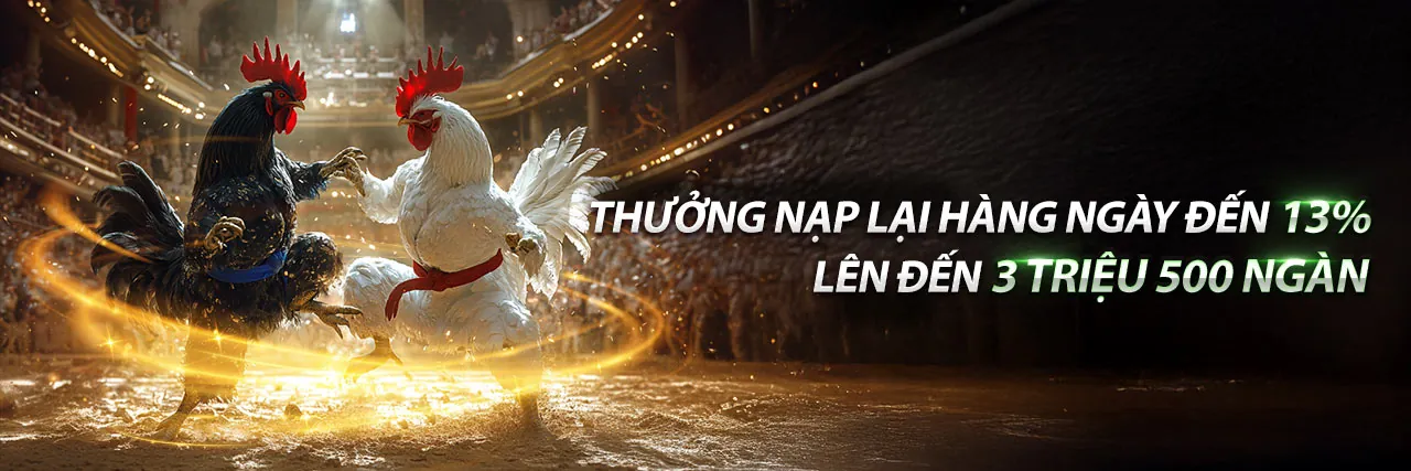 Sân vận động tràn ngập ánh sáng với các môn thể thao sôi động tại BJJ88